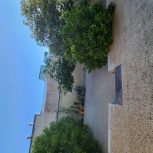 فروش خانه ویلایی ،تک برگ سند