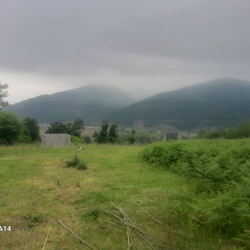 فروش چند قطعه زمین