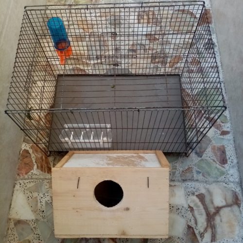 قفس و لانه پرنده و….