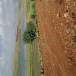 یک هکتار باغ بادام و انگور