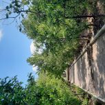 فروش خانه باغ واقع در دماوند جابان