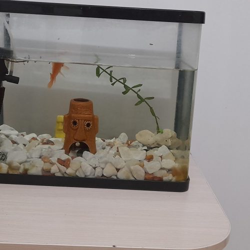 آکواریوم شیشه خم