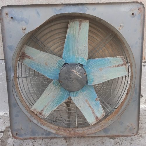 فن دیواری و سوله ای