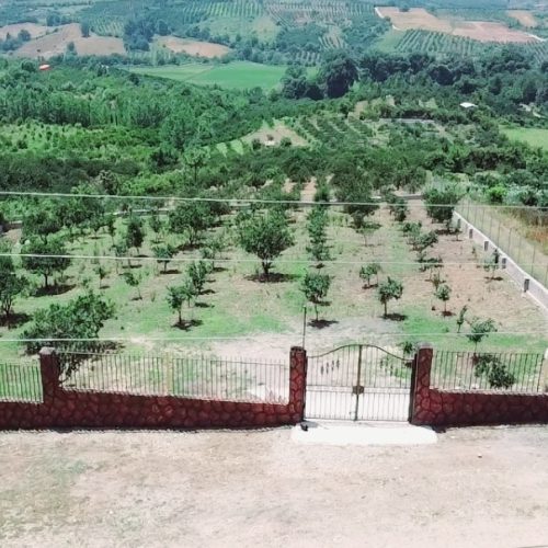 زمین باغی با مجوز ساخت. ویوویی زیبا در ریکنده