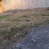 زمین مسکونی 160متری خیابان ساری