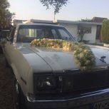 شورولت نوا c6