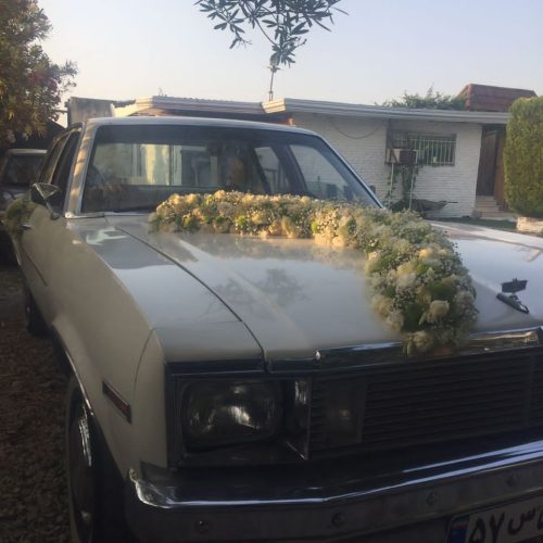 شورولت نوا c6