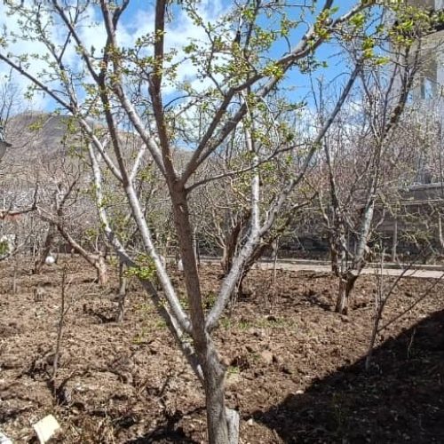 فروش خانه باغ واقع در دماوند جابان