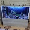 فروش آکواریوم 1متری با تمام وسایل به فروش می رسد