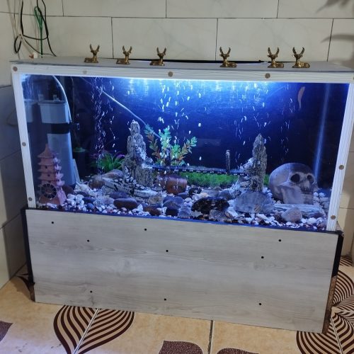 فروش آکواریوم 1متری با تمام وسایل به فروش می رسد