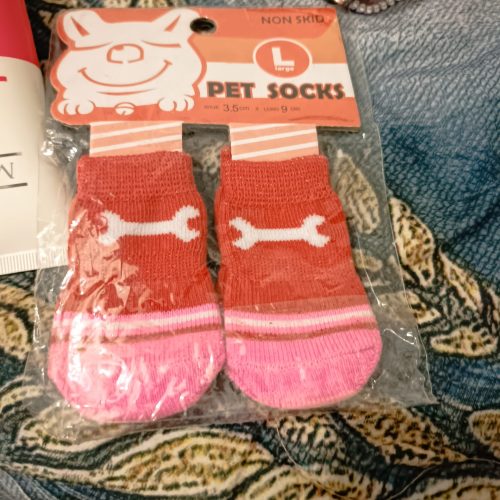 کفش و جوراب سگ