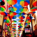 تور (وان واستانبول )ترکیه