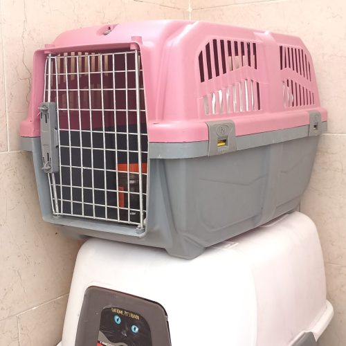 گربه‌ واگذاری