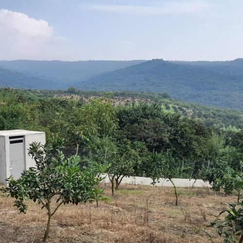زمین باغی با مجوز ساخت. ویوویی زیبا در ریکنده