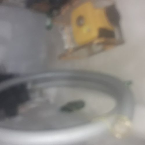 متور لجن کش روبین