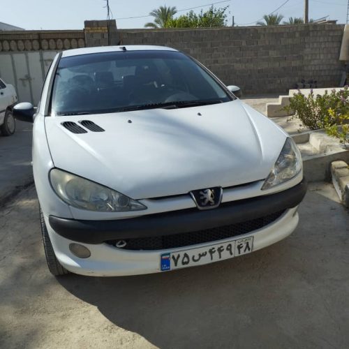 فقط مصرف کننده