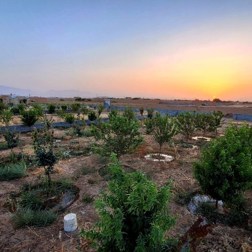 شرایط ویژه (نصف نقد ، نصف اقساط 6 الی 7 ماه)