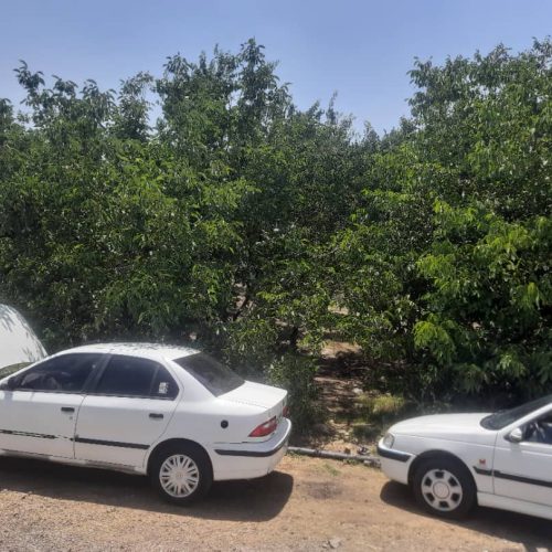 فروش باغ سر جاده اصلی سنندج