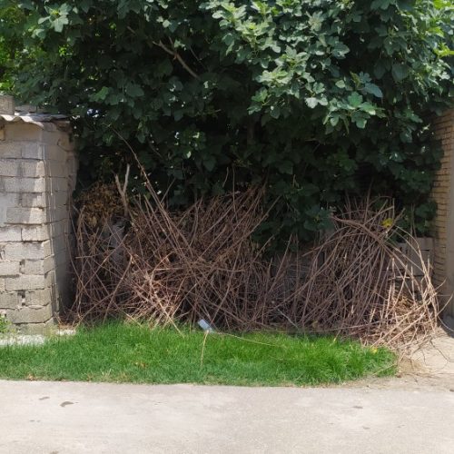 زمین متراژ ( .117متر. ) 5:در23متر