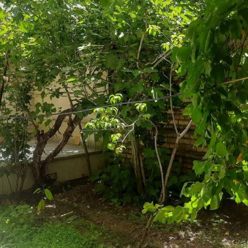 اجاره سوئیت  خنک دربست حیاط دار