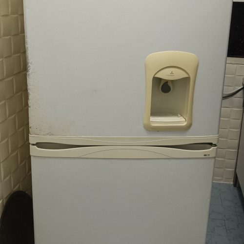 یخچال و فریزر اسنوا