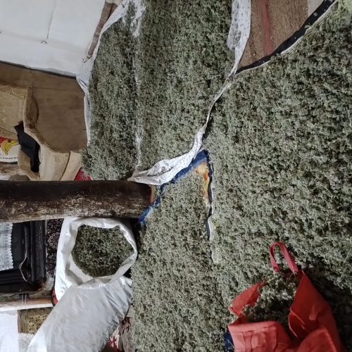 اویشن وکاکوتی کوهی دستچین عشایر دامنه سبلان