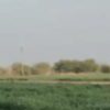 زمین کشاورزی کشت کندم