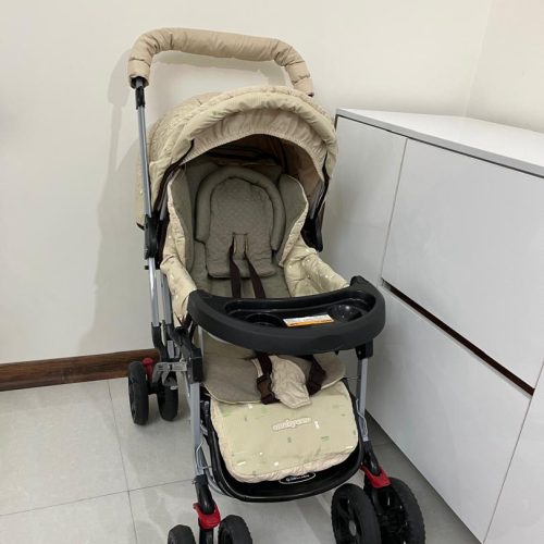 کالسکه وکریر دلیجان