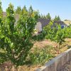 فروش باغ و ویلا