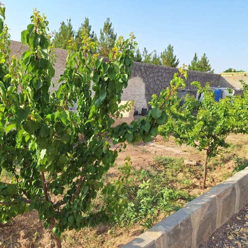 فروش باغ و ویلا