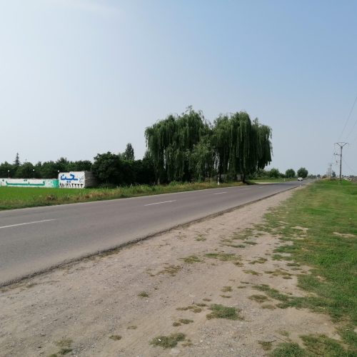 زمین کشاورزی به مساحت 8000متر