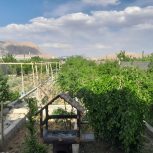 باغ در شهرضا