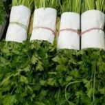 بسته بندی سبزی در شهرک صنعتی