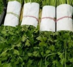 بسته بندی سبزی در شهرک صنعتی