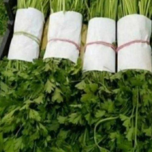 بسته بندی سبزی در شهرک صنعتی