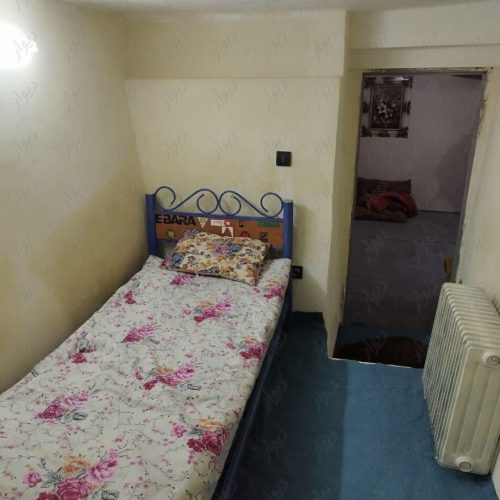 ویلا دیزین برف