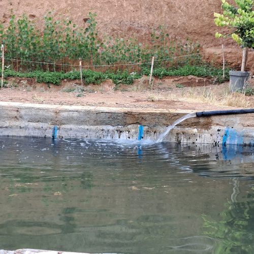 باغ7000متری سنندج