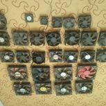 فن کامپیوتر