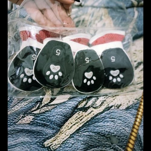 کفش و جوراب سگ