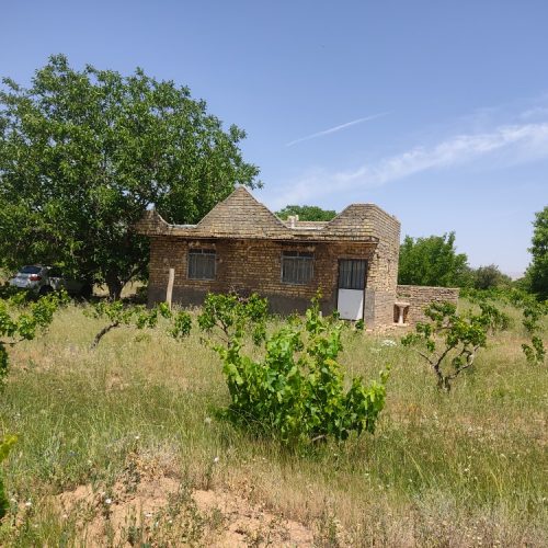 فروش بخشی از باغ های درخت انگور و گردو