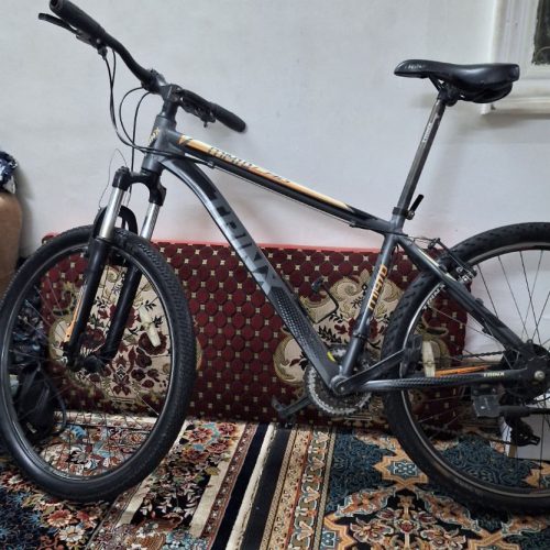 دوچرخه حرفه ایی درحداک وتمیز سنددار