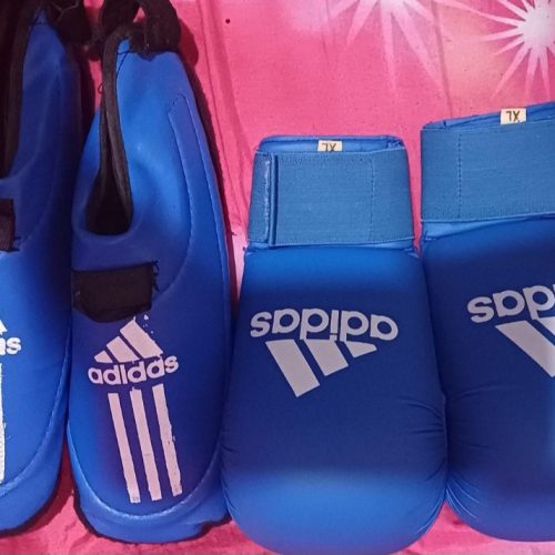 دست کش و رویایی کاراته