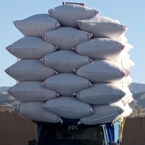 کاه کاهکوب گندم و کاه کاهکوب جو و کوه خرمنکوب