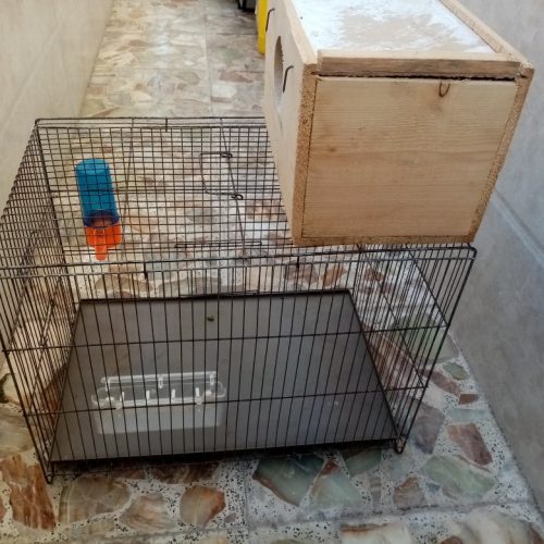 قفس و لانه پرنده و….