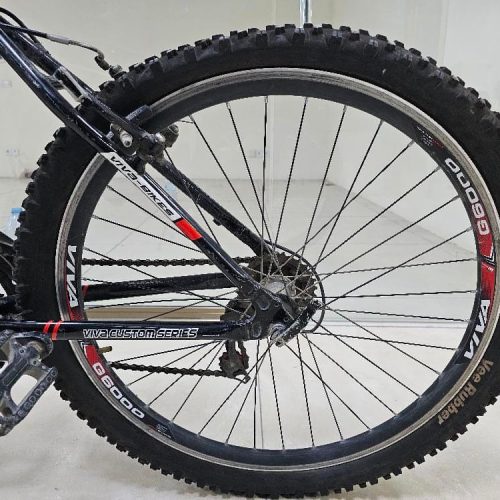 دوچرخه ویوا الماس