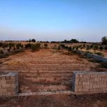 شرایط ویژه (نصف نقد ، نصف اقساط 6 الی 7 ماه)