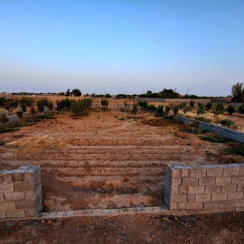 شرایط ویژه (نصف نقد ، نصف اقساط 6 الی 7 ماه)