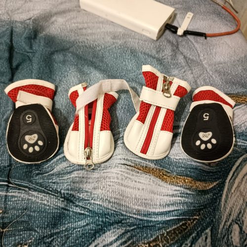 کفش و جوراب سگ