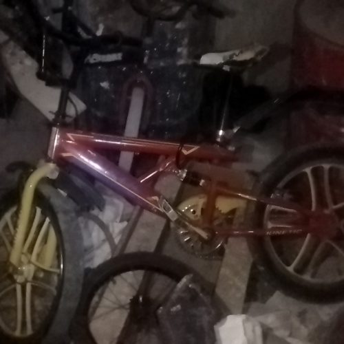 سینماخانواده