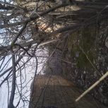 زمین متراژ ( .117متر. ) 5:در23متر